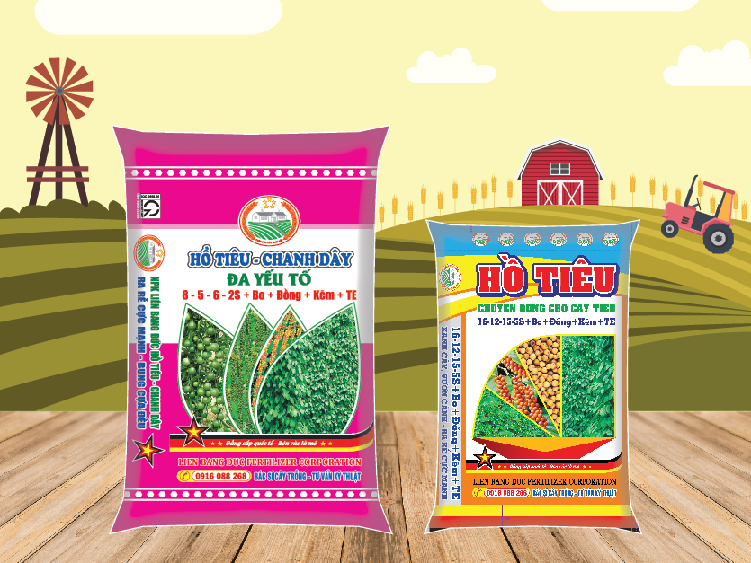 NHÓM HỒ TIÊU - CHANH DÂY